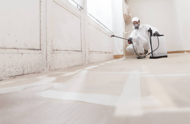 24/7 Emergency Mold Inspection experts in Fanwood, NJ