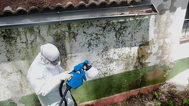 Trusted Mold Testing service in Fanwood, NJ - Cheap Mold Removal